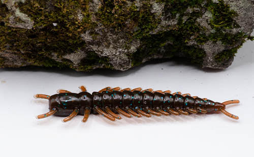 3" hellgrammite (8 pack)