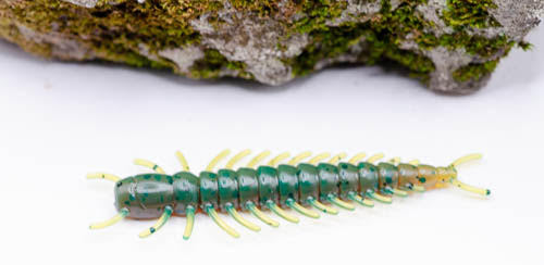 3" hellgrammite (8 pack)