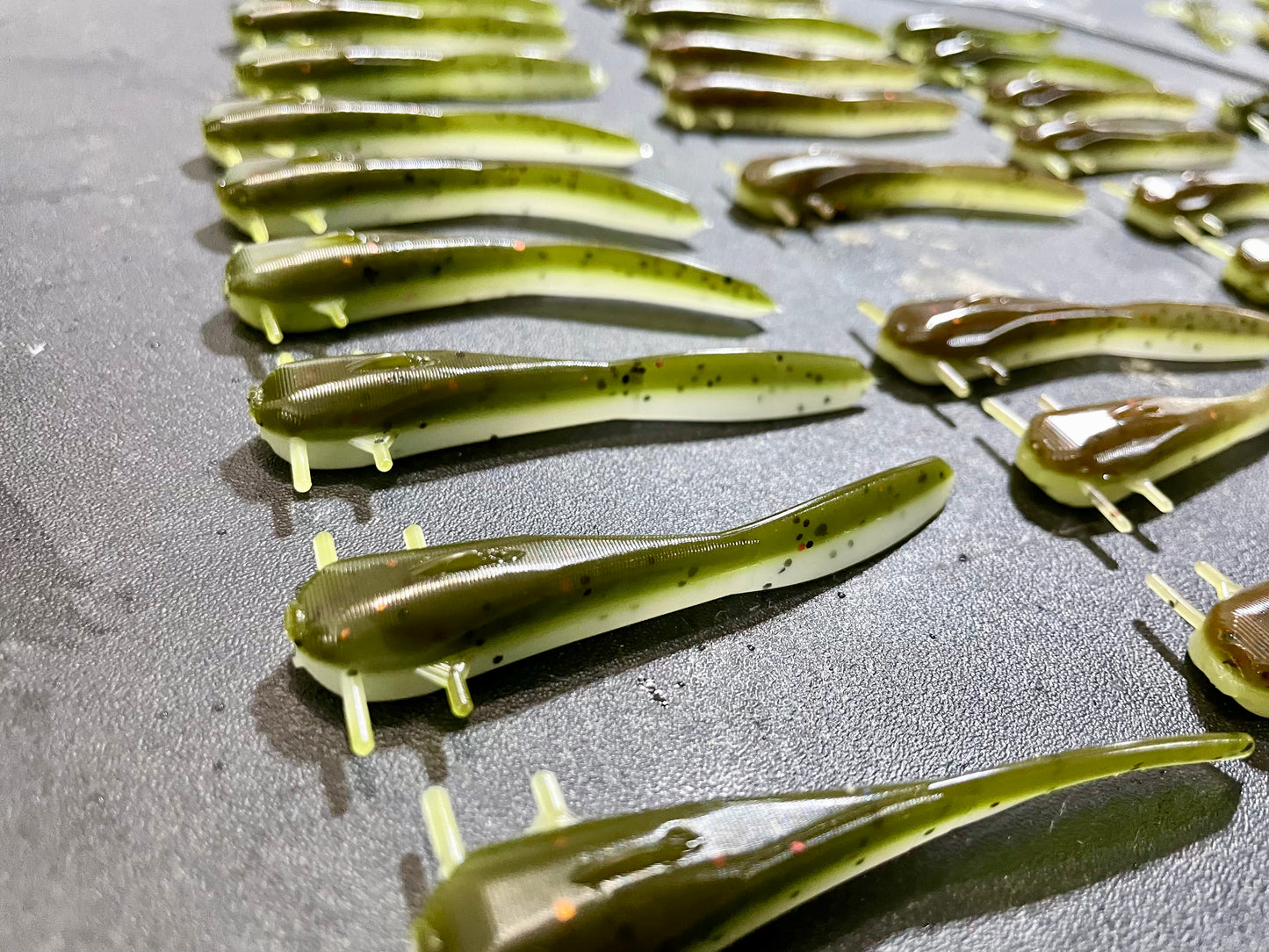 3" Stone cats /Willow Cats / Madtoms (10 pack)